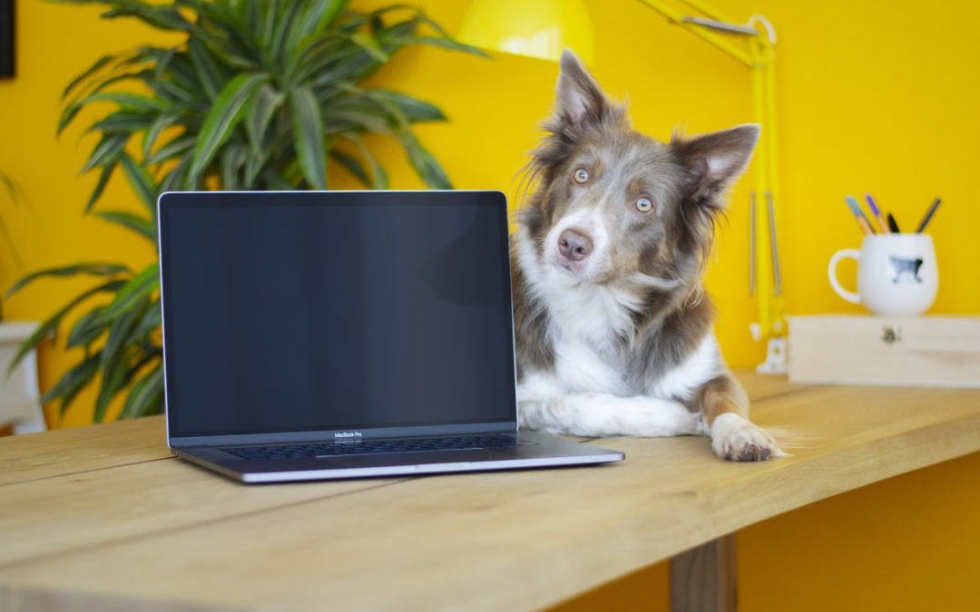 Do Yoga Teachers Need to Blog?