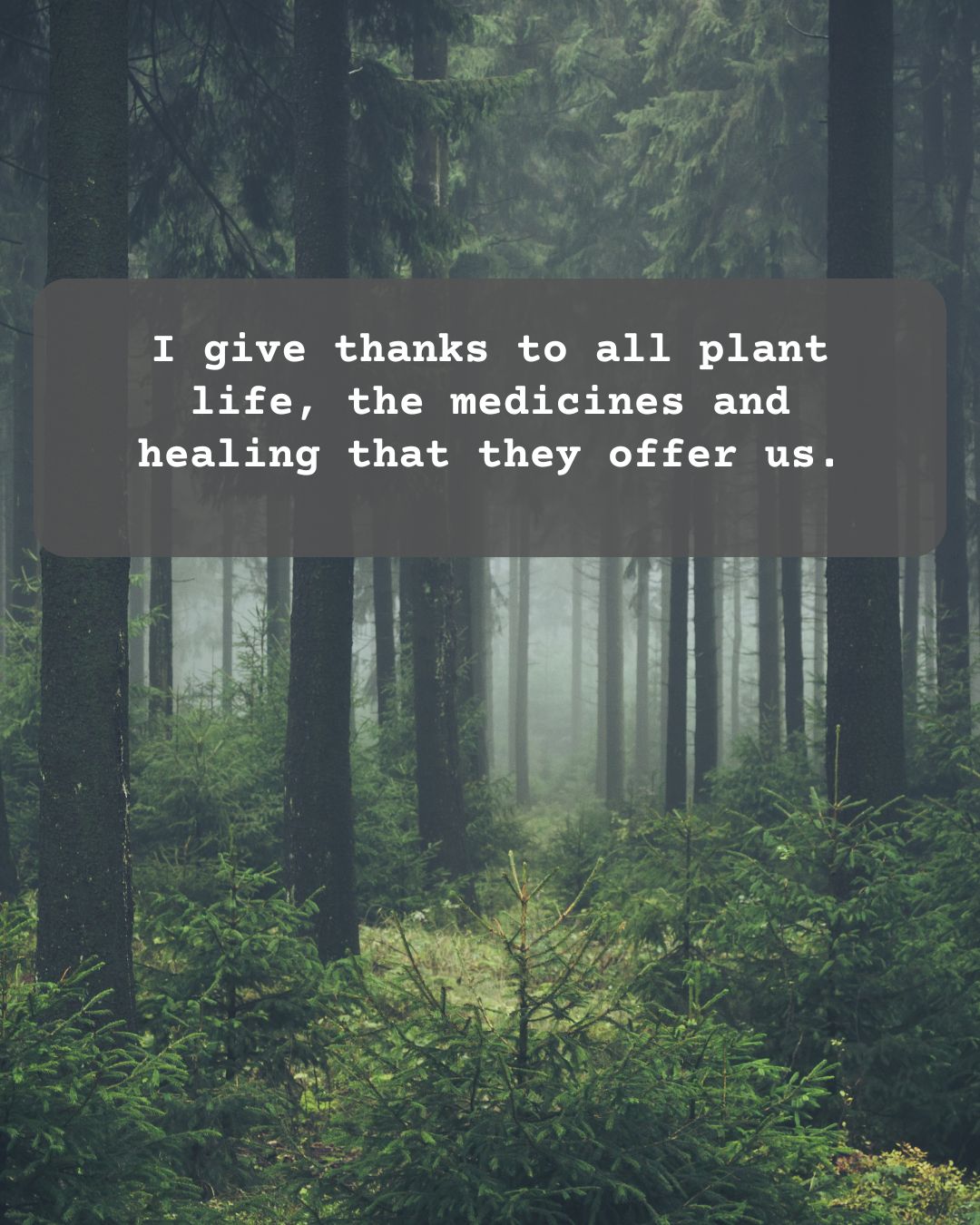 Page 4 of Instagram Carousel promoting nonprofit poetry reading with Jonina Kirton